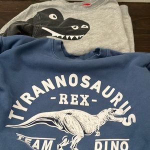 Boys Dinosaur Sweatshirt